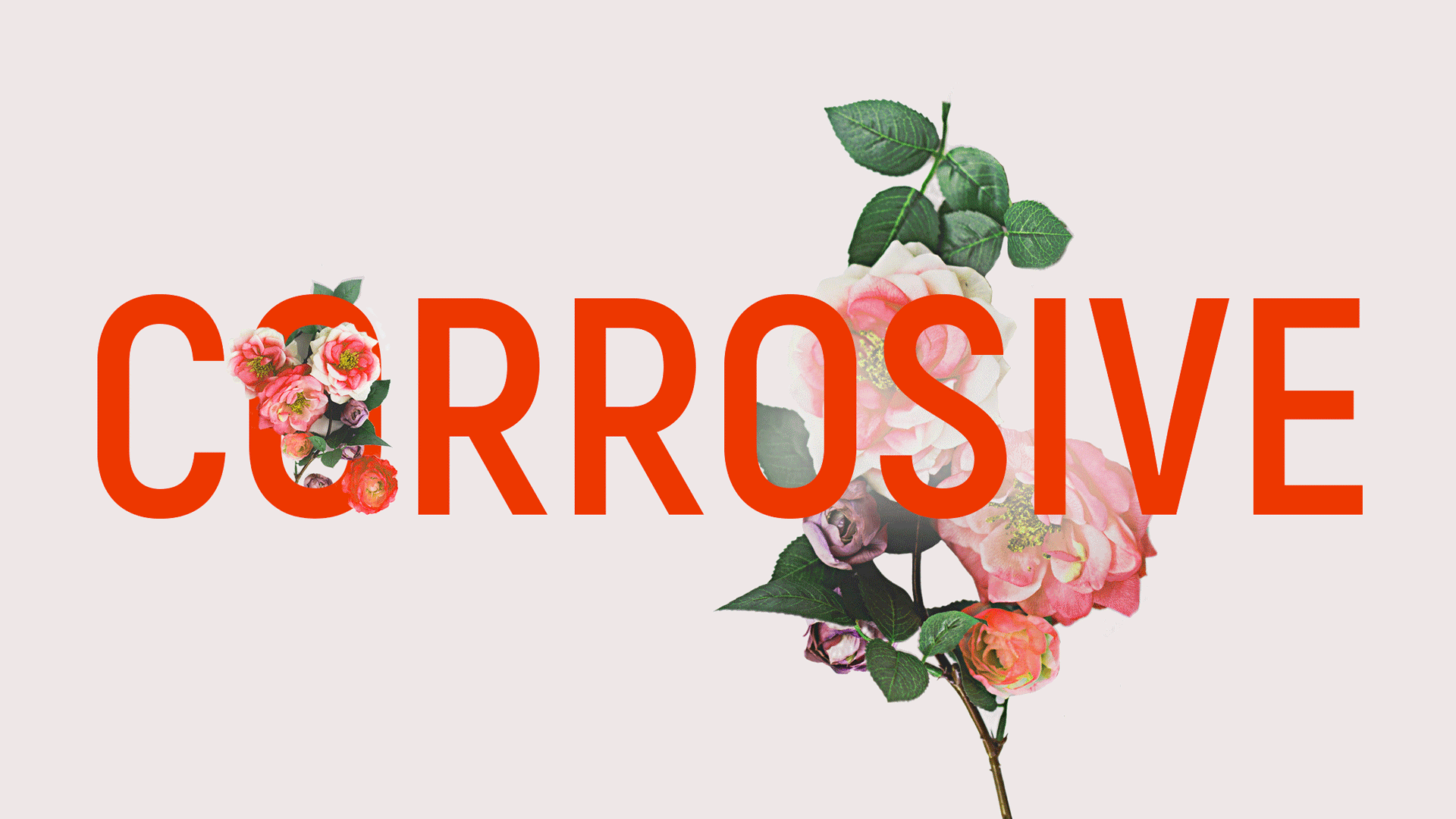 Affiche « Corrosive » : le mot en grandes lettres rouges, entremêlé de roses